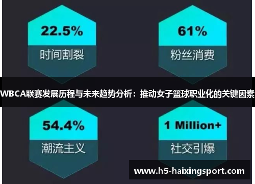 WBCA联赛发展历程与未来趋势分析：推动女子篮球职业化的关键因素