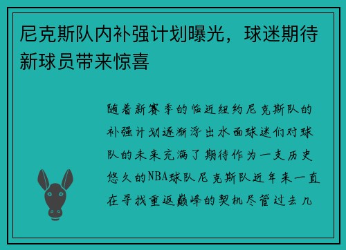 尼克斯队内补强计划曝光，球迷期待新球员带来惊喜